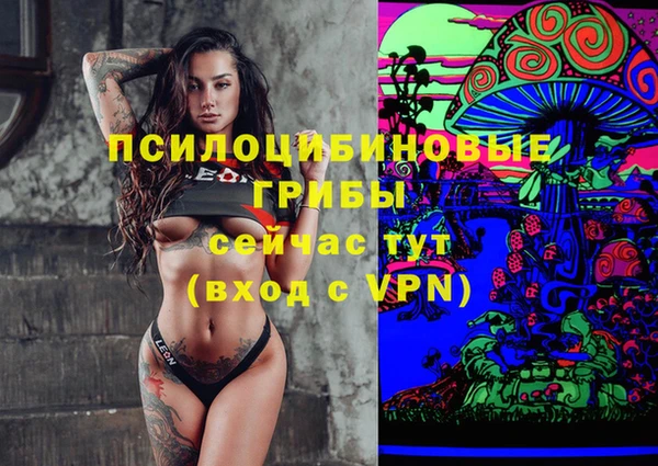 ГАЛЛЮЦИНОГЕННЫЕ ГРИБЫ Покачи