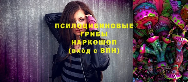ГАЛЛЮЦИНОГЕННЫЕ ГРИБЫ Покачи