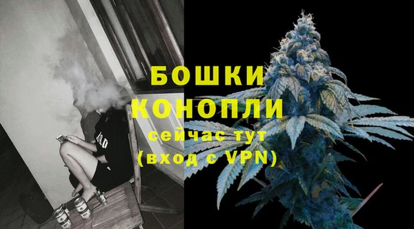 ГАЛЛЮЦИНОГЕННЫЕ ГРИБЫ Покачи